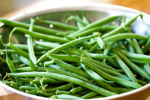 China Canned Green Beans Cut - China Canned Green.jpg China Canned Green Beans Cut - China Canned Green.jpg