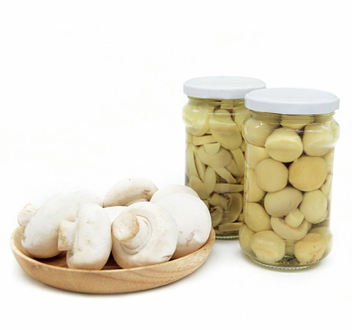 canned mushroom with good price canned mushroom with good price