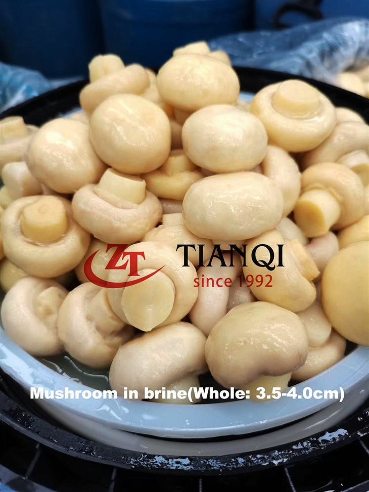 Briny Mushroomin Plastic Drum 48kg