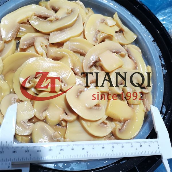 Cheap sliced champignon in brine in drum Cheap sliced champignon in brine in drum