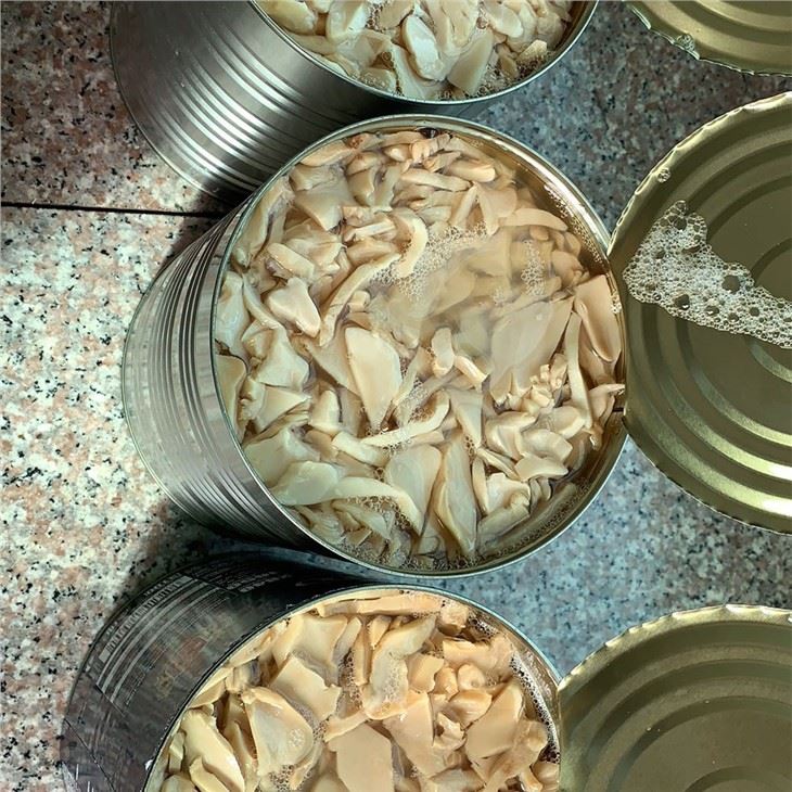 Canned Mushroom With High Quality
