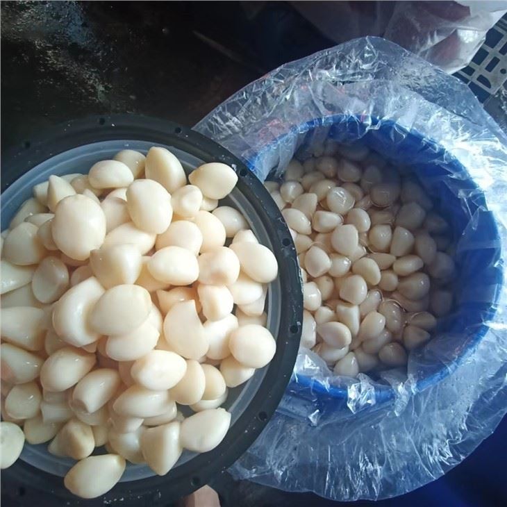 Good Taste Peeled Garlic Cloves in Brine