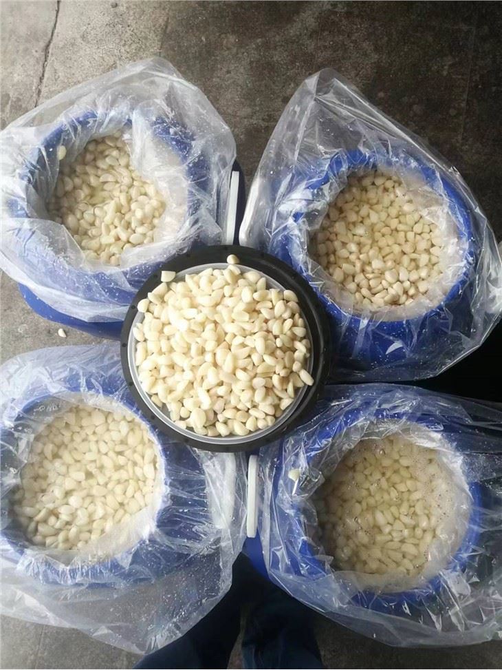 Pickled Garlic in Brine 2022 Crop